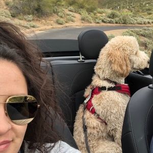 Meet your Posher, Ericca